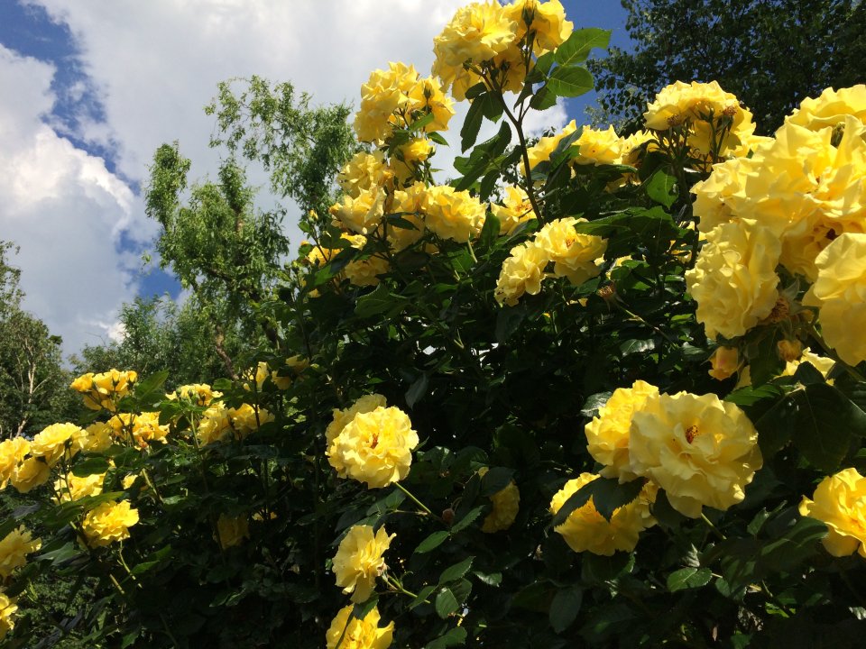 Návrhy na udelenie ocenení mesta Šaľa