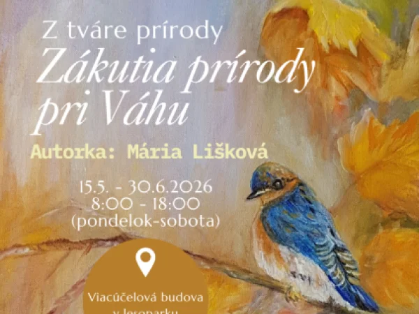 Výstava obrazov