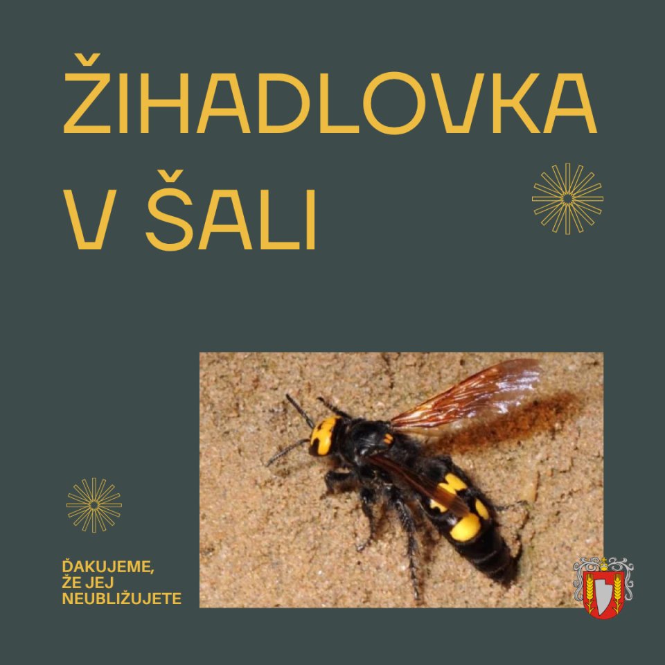 Žihadlovka obrovská sa opäť objavila aj v Šali